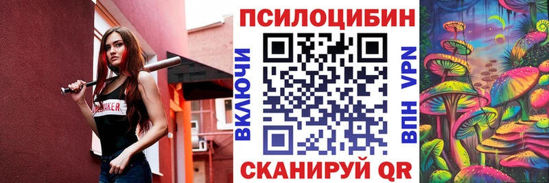 блэк спрут маркетплейс  Нововоронеж  Галлюциногенные грибы мицелий 