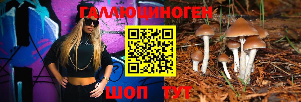Галлюциногенные грибы мицелий  Вход с VPN  Нововоронеж 