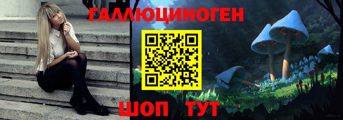 Псилоцибиновые грибы мухоморы  Нововоронеж  Галлюциногенные грибы мухоморы 