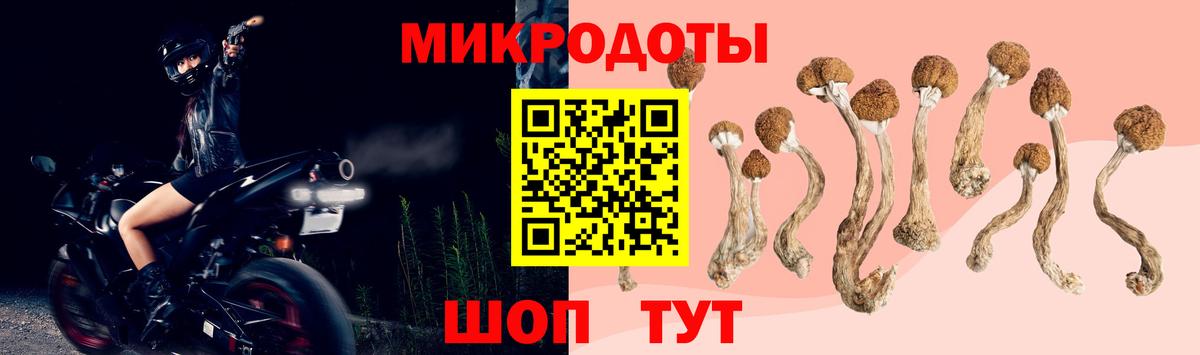 Галлюциногенные грибы ЛСД Нововоронеж