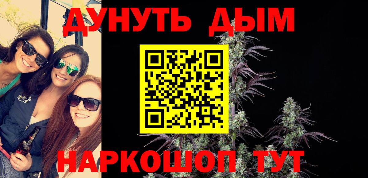 Конопля семена  Вход с VPN  Марихуана сатива  Марихуана White Widow  Нововоронеж 